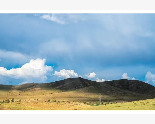 儿童补血，中医药可以助力？