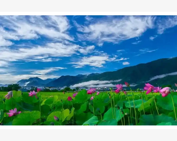 儿童补血饮食指南：让孩子健康成长的秘密